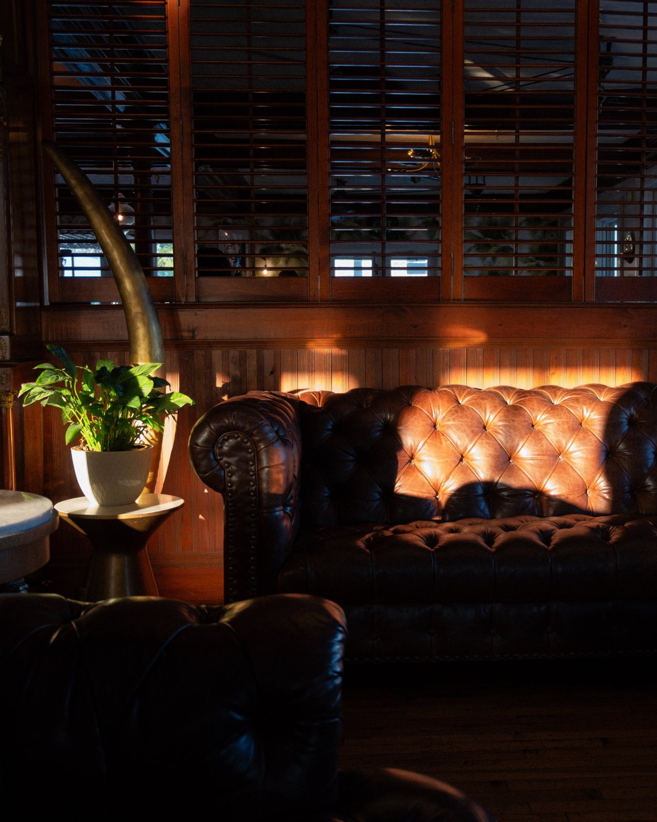 Late sun across a tufted leather chesterfield at The Gibson Inn